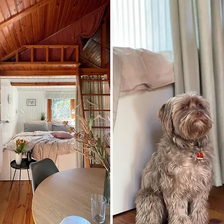 Tiny House Mit Garten In See-Naehe Tauche Exterior photo