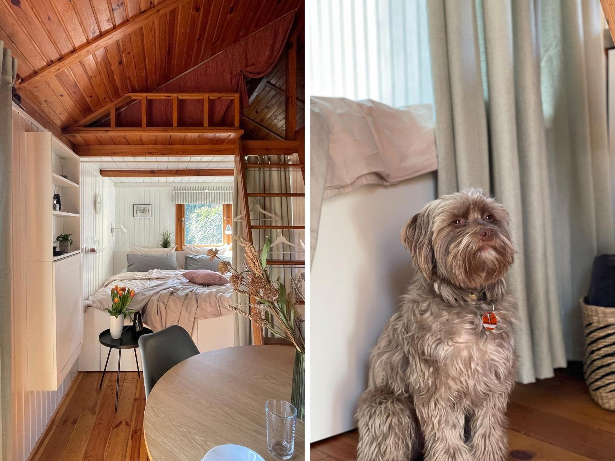 Tiny House Mit Garten In See-naehe Tauche