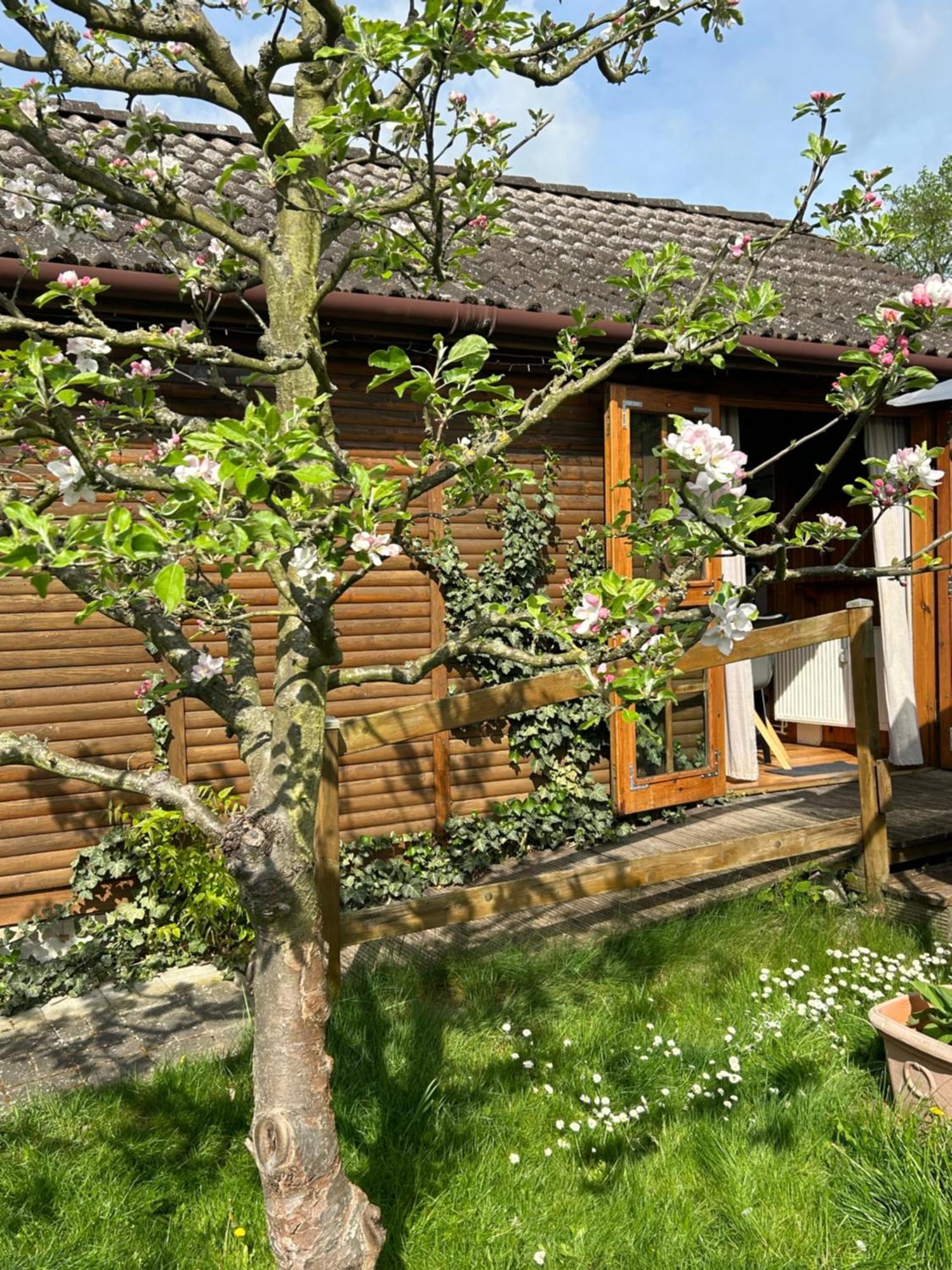 Tiny House Mit Garten In See-naehe Apartment *